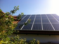 Bild 7 Fink in Michelsneukirchen