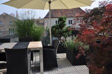 Bild 10 Blumen Speth GmbH in Regensburg