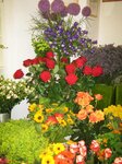 Bild 7 Blumen Handl Inh. Monika Winderl in Tegernheim
