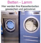 Bild 2 Lamm in Redwitz a.d.Rodach