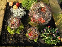 Bild 1 Blumen Max Inh. M. Kronberger in Greding