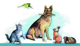 Bild 1 Göde in Schweinfurt