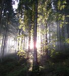 Bild 1 Seiler Ernst KG in Untersiemau