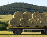 Bild 10 Schudt in Schöllkrippen