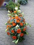 Bild 6 Gehrung - Gärtnerei in Rohr