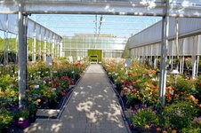 Bild 9 Baumschule Popp in Puschendorf