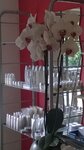 Bild 5 Fußpflege und Wellness in Sonnefeld