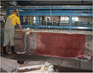 Bild 10 CS-Teppichreinigung Paul Runte GmbH