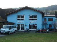 Bild 4 Hirsch in Eschau