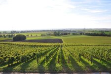 Bild 5 Schmitt in Bergtheim