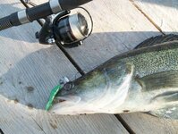 Bild 30 Stefans Angelshop in Regensburg