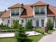 Bild 2 Birnbaum in Erlangen