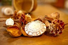 Bild 2 Artasia Juwelier Inhaber Ortwin Löx in Bamberg