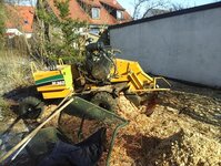 Bild 8 Baumpflege Stock in Nürnberg