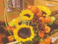 Bild 2 Bayerl in Falkenstein