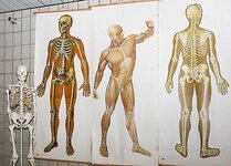 Bild 4 Weegmann Luitpold Staatlich geprüfter Physiotherapeut Reha-Fit in Bamberg