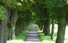 Bild 6 Familienbad in Sennfeld