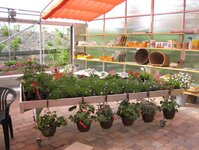 Bild 5 Garten Premm Inh. Hannes Premm in Roding