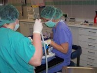 Bild 6 Petra Sitzmann Zahnärztin in Rimpar