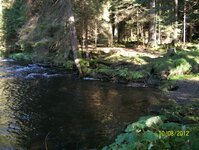 Bild 68 Stefans Angelshop in Regensburg