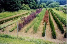 Bild 3 Pfistner in Strullendorf