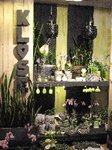 Bild 5 Klose, Blumerei Klose Blumen&Gärtnerei in Schwarzenbach a.Wald