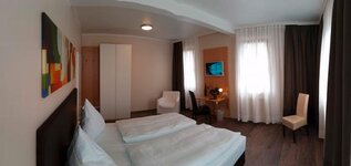 Bild 1 Geiger in Stein