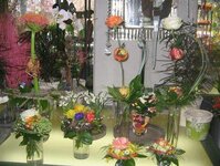 Bild 4 Bauer' s Blumen, Garten und mehr ... e.K. in Neumarkt i.d.OPf.