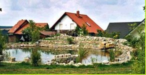 Bild 5 Geier in Viereth-Trunstadt
