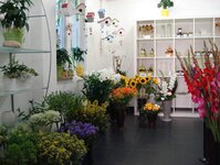 Bild 6 Gärtnerei Heim in Schweinfurt