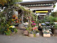 Bild 2 Blumenfachgeschäft Weiglein Irene in Würzburg