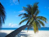 Bild 2 exxtratours in Nürnberg