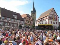 Bild 3 Stadt Zeil a. Main in Zeil a.Main