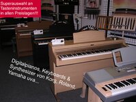 Bild 3 Kalb in Küps