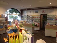 Bild 1 Eichen-Apotheke in Stein