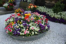 Bild 3 Friedhofsgärtnerei Götz GmbH in Würzburg