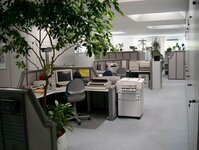 Bild 1 W + P Treuhand Steuerberatungsgesellschaft mbH in Hallstadt