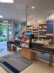 Bild 2 Michaelis Apotheke Inge-Lise Schott e.K. in Hof