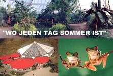 Bild 1 Schmetterlings-Paradies idea in Neuenmarkt