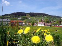 Bild 5 Gemeinde Warmensteinach in Warmensteinach