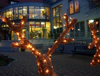 Bild 5 Juliusspital-Stiftung in Bad Königshofen i.Grabfeld