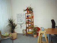 Bild 5 Geier in Steinbach a.Wald