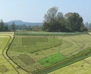 Bild 3 Ingenieurbüro Rausch & Partner in Neustadt