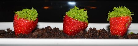 Bild 6 Alter Brunnen in Marloffstein