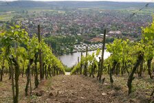 Bild 4 Schmitt in Bergtheim