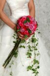 Bild 3 Blumen Handl Inh. Monika Winderl in Tegernheim