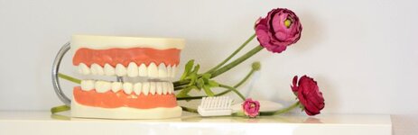 Bild 7 Zahnarztpraxis Dr. Norbert & Dr. Johannes Fröhlich in Bayreuth