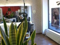 Bild 4 Prawitt in Aschaffenburg