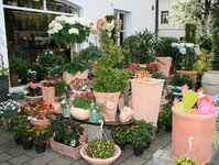 Bild 4 Blumen Bauer GmbH in Neumarkt i.d.OPf.