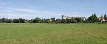 Bild 5 Birnbaum in Erlangen